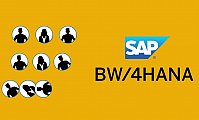 Introduction to SAP BW4HANA training
